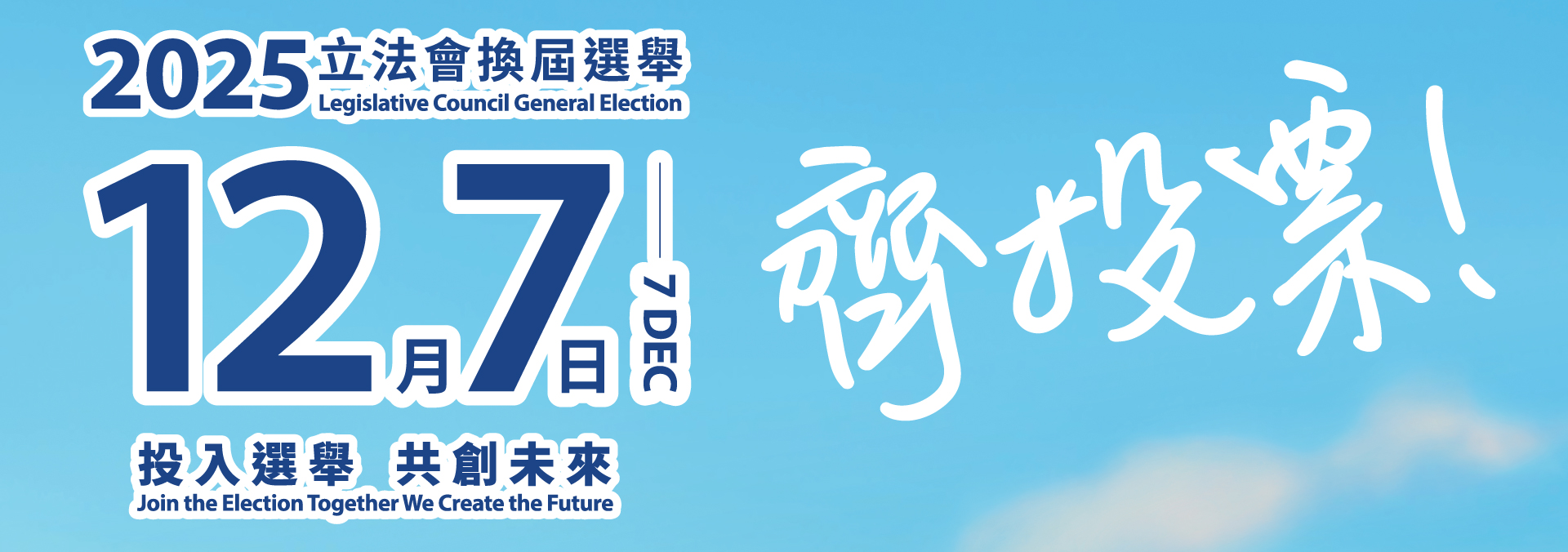 2025 Legislative Council General Election